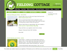 Tablet Screenshot of fieldingcottage.co.uk